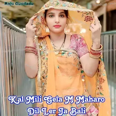 Kal Mili Gela M Maharo Dil Ler Ja Bali - RAJU GOMLADU album cover 