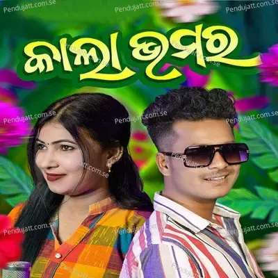 Kala Bhamara - Sameer Luha album cover 