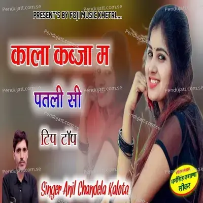 Kala Lhga M Patlisi Tip Top - Anil Chandela album cover 