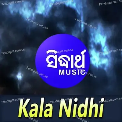 Nilaa Chale Nila Saile - Prasanta Padhi album cover 