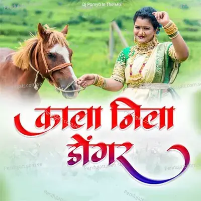 Kala Nila Dongar - Bhakti Patil album cover 