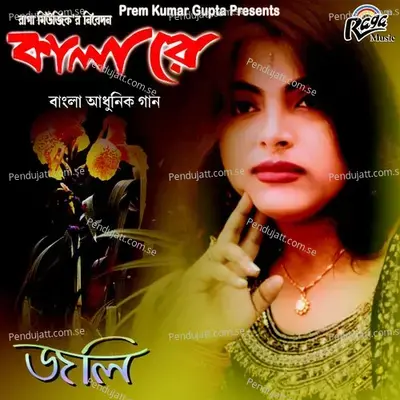 Brindhabaner Brajeshwari - Joli album cover 