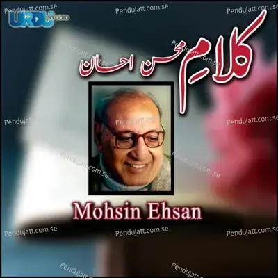 Salook E Hum Na Fashn - Mohsin Ehsan album cover 