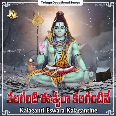 Jaaligalla Devudavu Jangameswara - P. Ramaraju album cover 