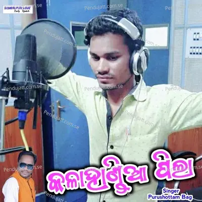 Kalahandia Pila - Purushottam Bag album cover 