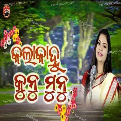 Kalakanhu Kunumunu - Reshma Rani Dash album cover 