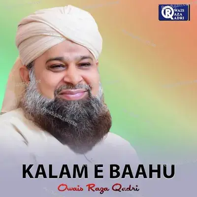 Falak Ke Nazaro Zameen Ki Baharo - Owais Raza Qadri album cover 