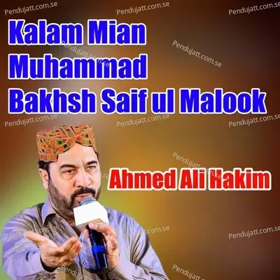 Kalam Mian Muhammad Bakhsh Saif Ul Malook - Ahmed Ali Hakim album cover 