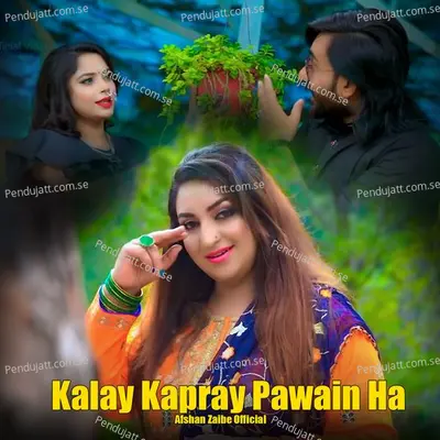 Kalay Kapray Pawain Ha - Afshan Zaibe album cover 