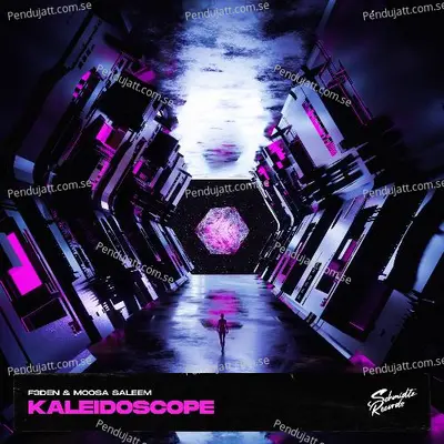 Kaleidoscope - F3DEN cover album