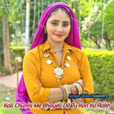 Kali Chunni Me Bhayeli Dil Tu Kon Ko Rakh - Bikesh Kasana album cover 