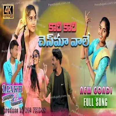 Kali Kali Chesma Wale - Pandurang Meshram album cover 