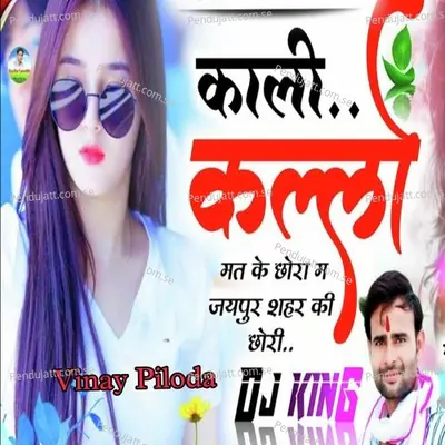 Kali Kallo Mat Kah Chora Mai Jaipur Sahar Ki Chori - Vinay Piloda album cover 
