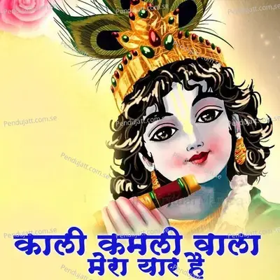 Kali Kamli Wala Mera Yaar Hai - Chotu Singh Rawna album cover 