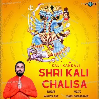 Kali Kankali - Shri Kali Chalisa - Vastvik Roy album cover 