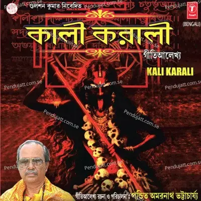 Saradindu Nivang Suvrang - Amarnath Bhattacharjee album cover 