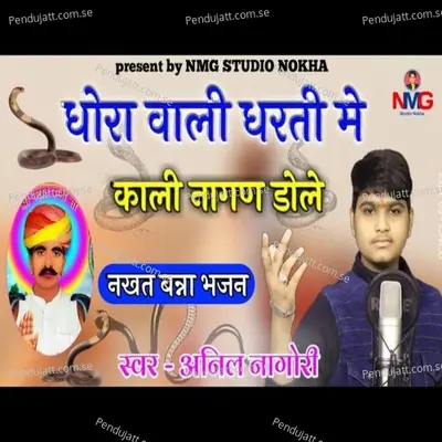 Kali Nagan Dole    Nakht Bana Bhajan - Anil Nagori album cover 