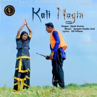 Kali Nagin - Ajesh Kumar album cover 