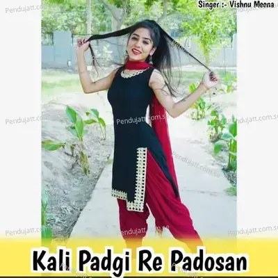 Kali Padgi Re Padosan - Vishnu Meena album cover 
