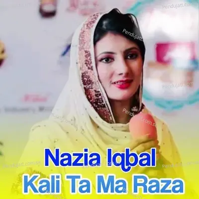 Mung Pa Yao Bal Dase Mayan Yu - Nazia Iqbal album cover 