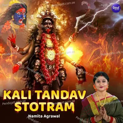 Kali Tandav Stotram - Namita Agrawal album cover 