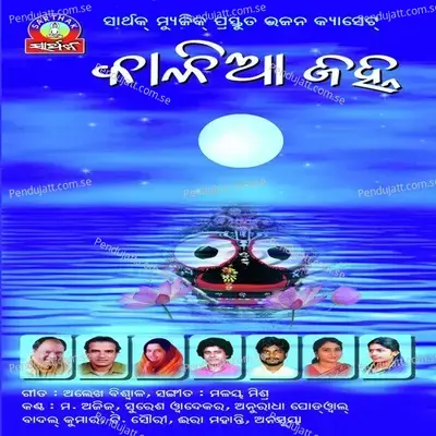 Dui Dui Misigale - Anusuya Nath album cover 