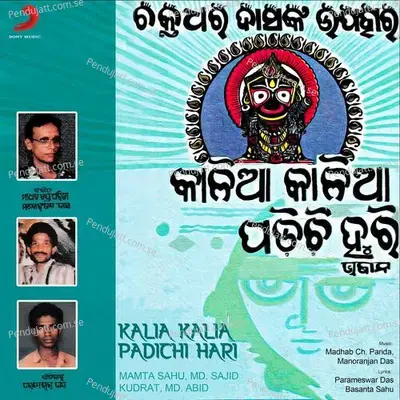 Papinkara Papa - Mamta Sahu album cover 