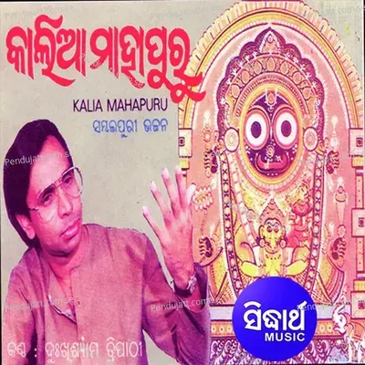 Gauthare Bhulamana - Dukhishyam Tripathy album cover 