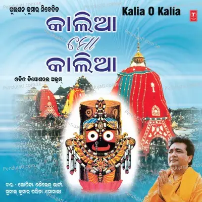 Jagannatha He - Sunil Parida album cover 