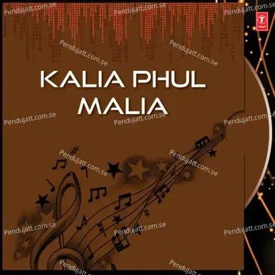 Kala Kanhu Mandar - Snehalata album cover 