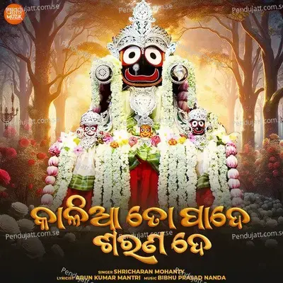 Kalia To Pade Sarana De - Bibhu Prasad Nanda