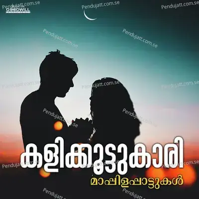 Annaalorikkal - I P Sidheeq album cover 