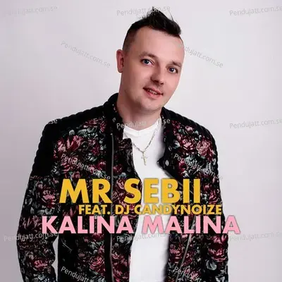 Kalina Malina - Mr Sebii album cover 