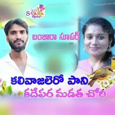 Kaliva Jelero Pani Kadepara Madatha - Subhash Rathod album cover 