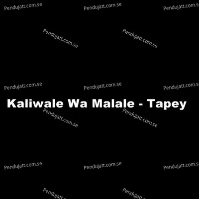 Kaliwale Wa Malale - Tapey - Baryalai Samadi album cover 