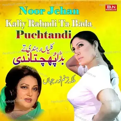 Dil Dakh Dahk Karda Ae Muno Kaliy Need Na Away - Noor Jehan album cover 