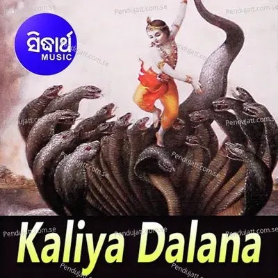 Kaliya Dalana - Raj Bhoi cover album