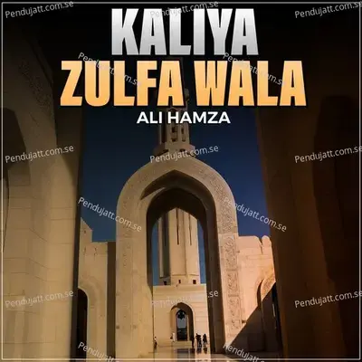 Kaliya Zulfa Wala - Ali Hamza album cover 