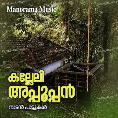 Devi Ente Devi - S. Sundardas album cover 