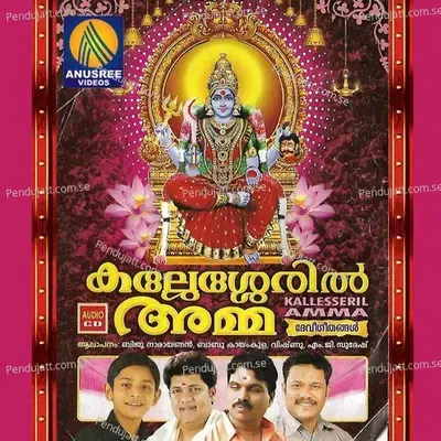 Kallesseril - Kayamkulam Babu album cover 