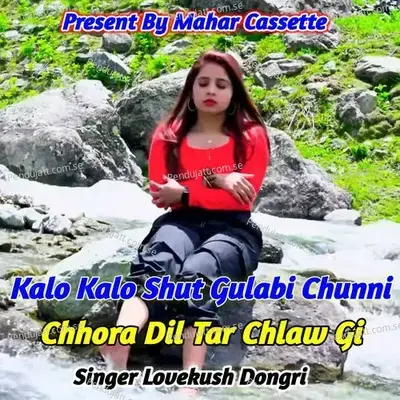 Kalo Kalo Shut Gulabi Chhuni Chhora Dil Tar Chlaw Gi - Lovekush Dungri