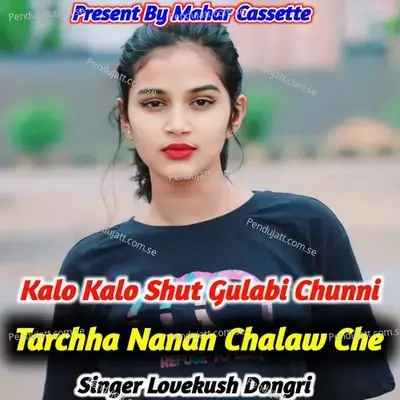Kalo Kalo Shut Gulabi Chunni Tarchha Nenan Chalaw Che - Lovekush Dungri