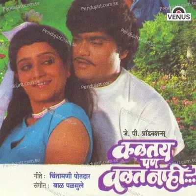 Shepu Palak Chakvat - Usha Mangeshkar album cover 