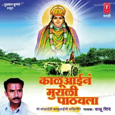 Majhya Navsala Paav - Balu Shinde album cover 