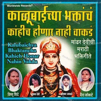 Tuzya Lekicha Uddhar Vhavha - Maina Kokate album cover 