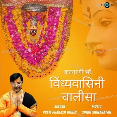 Kalyani Maa - Vindhyavasini Chalisa - Prem Prakash Dubey