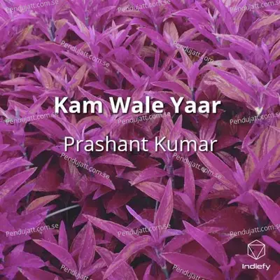 Kam Wale Yaar - Prashant Kumar album cover 