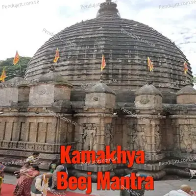 Kamakhya Beej Mantra - Veeramani Kannan album cover 