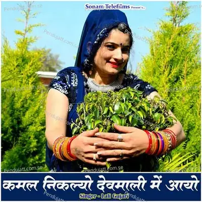 Kamal Niklyo Devmali Main Aayo - Lali Gujari album cover 
