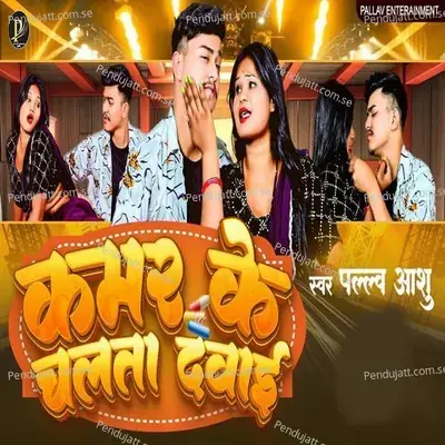 Kamar Ke Chalata Dawai - Pallav Ashu album cover 